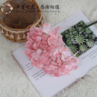 �������^�������컨�������ٻ��������ͻ�c����·���廨���l��ˇ