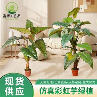 ����ʺ������Ա��W�L�Gֲ���~��Ҿ��b������z��ֲ��ϲ����