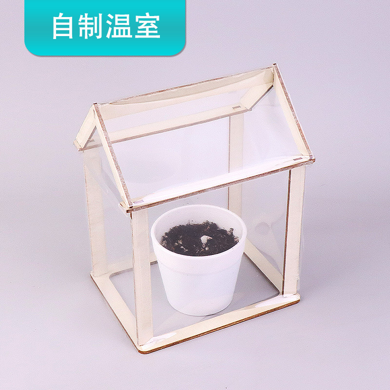 Greenhouse Technology Small Production Second Grade Student Sun Room DIY Handmade Kidsren's Plant Observation Experiment Material