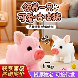 拼插类玩具;其他充气玩具;戏水玩具