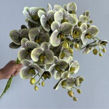 ���滨�ָ�7�^���z�� 3D��ӡ �����m �Ӱ��g�ٻ���c�zӰ�Ҿ��b�