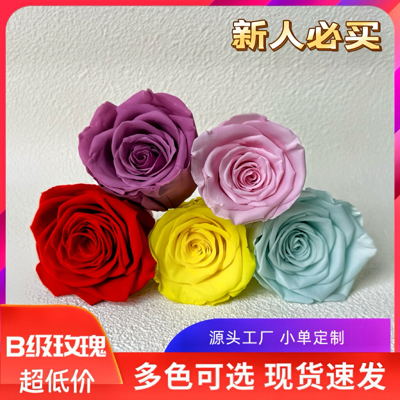 Yunnan Huazhe B-Level Recommended Preserved Flower Rose Heads for Suitcase Decoration, Preserved Flower DIY Materials, Multi-Color Wholesale in Stock
