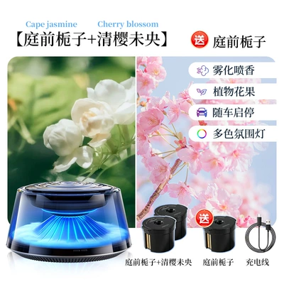 Yunwu Car Aromatherapy Accessible, Car Perfume Aromatherapy - garden-gardenia-qingying-weiyang-free-garden-gardenia-3-fragrance-boxes-in-total