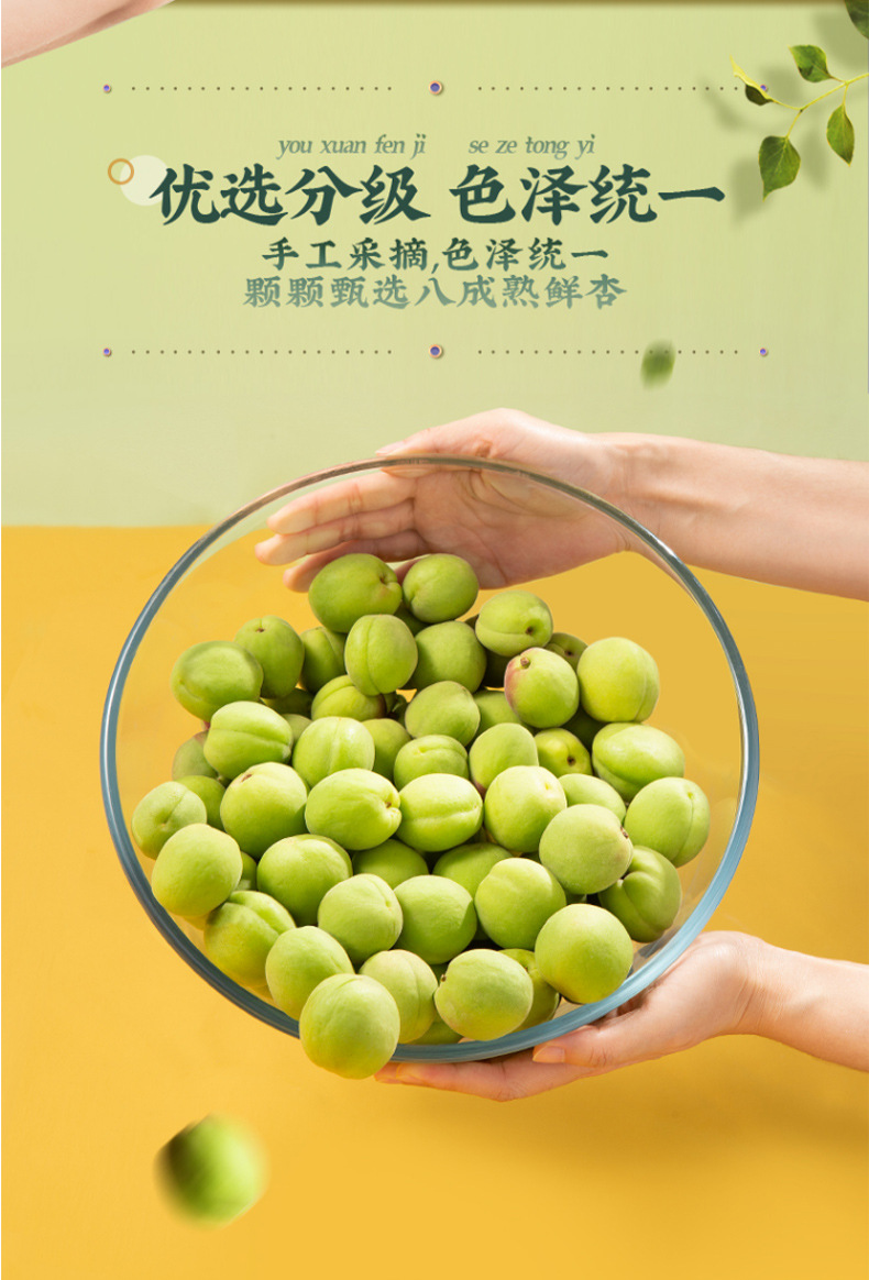 Dried Seedless Apricot with Licorice Chinese Preserved Fruit Snack 280g key features