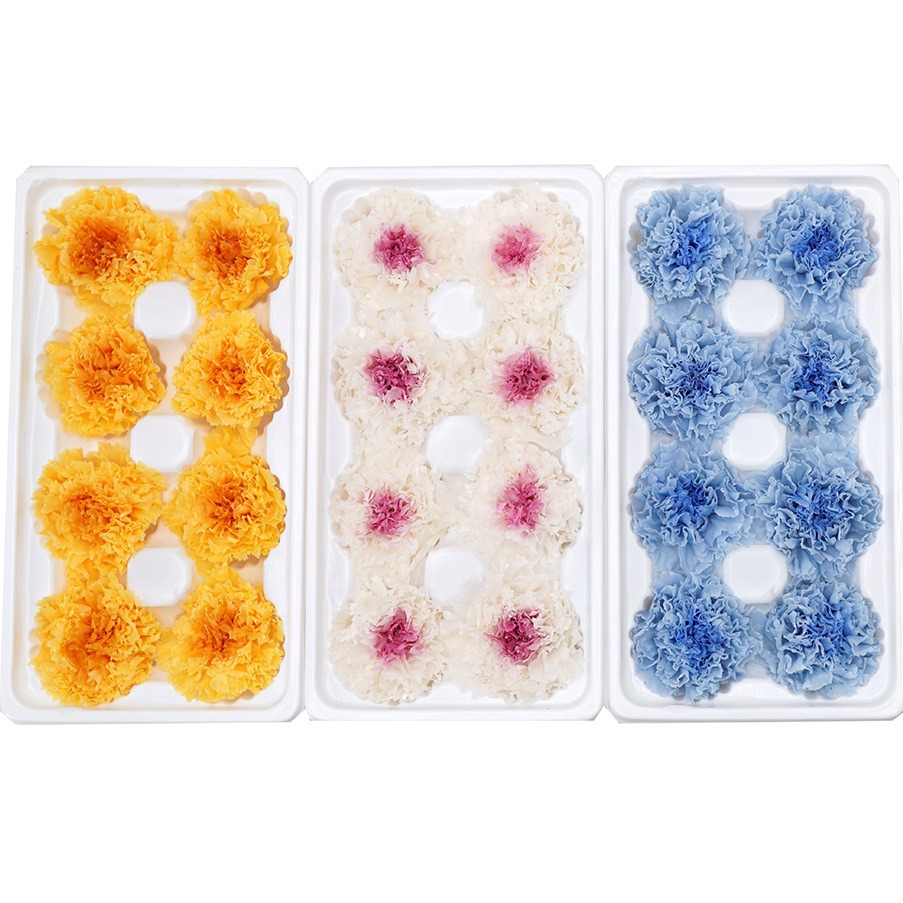 Venta directa de fábrica flor eterna material 4-5cm de dos colores Clavel flor eterna material de bricolaje