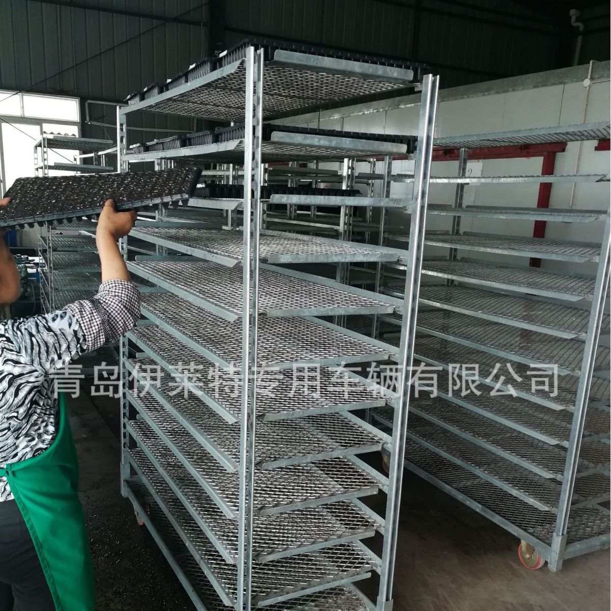 厂家推荐农业工具车现代化温室催芽车， 多层育苗车，方便灵活