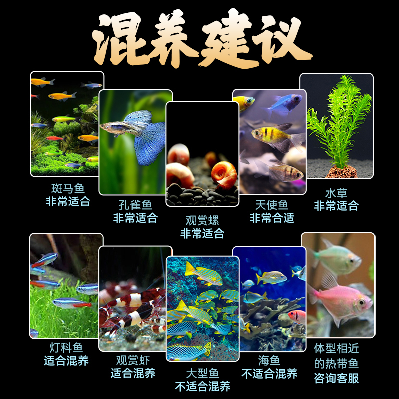 Gallery 4