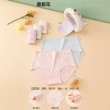 超大码新款舒适感棉高腰女士内裤字母印花简约柔软舒适三角裤2202