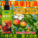 果多多营养液叶面肥免稀释增产王花多多果多多苹果番茄草莓石榴