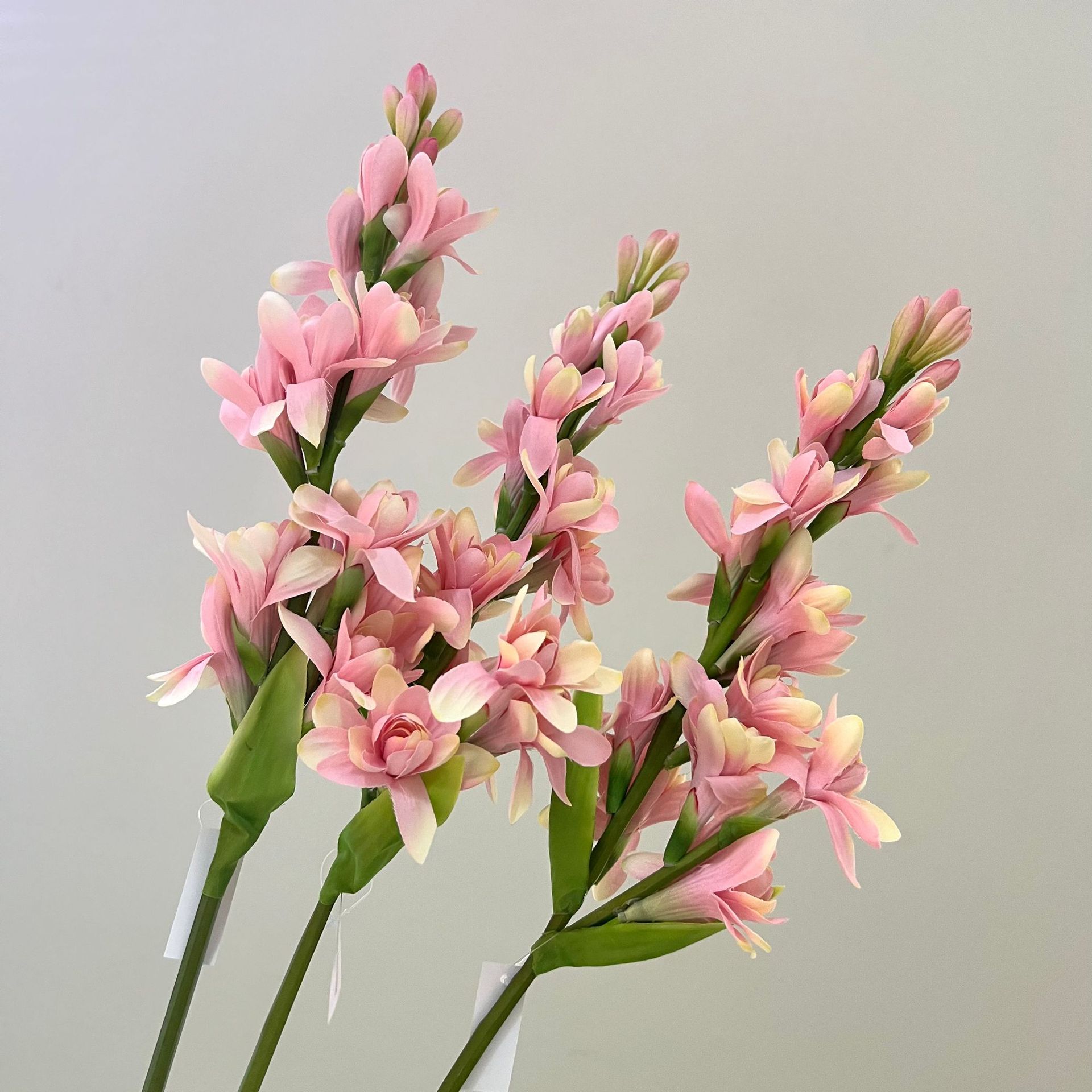 WeChat picture_20240613163328.jpg