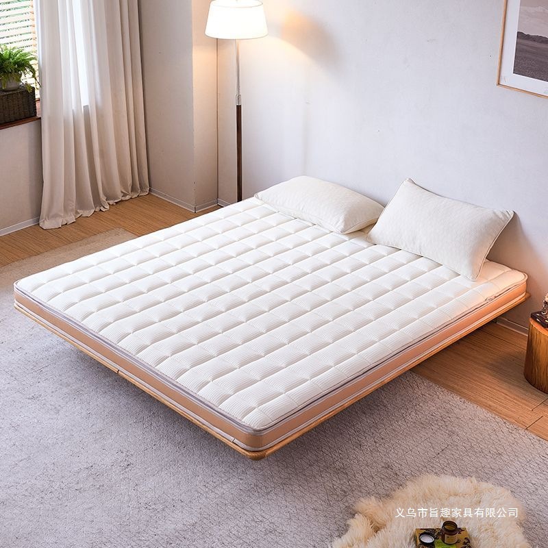 Natural Environmentally Friendly Jute Brown Baby Coconut Palm Latex Mattress Class a Tatami Spine Protection Hard Dormitory Mattress