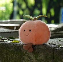 ��Ʒ����ˮ��Ȥζˮ������Ȼ����ë�q������ż