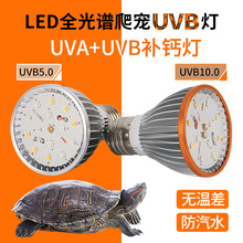 LED烏龜UVB曬背燈UVA太陽燈爬寵鬃獅蜥蜴爬龜缸燈紫外線補鈣燈泡