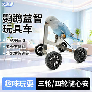 �W�^�������܇���P䓰�ȫ���ȷ�С��Ӗ��܇�S�İ��b�B��߿ɴ��l