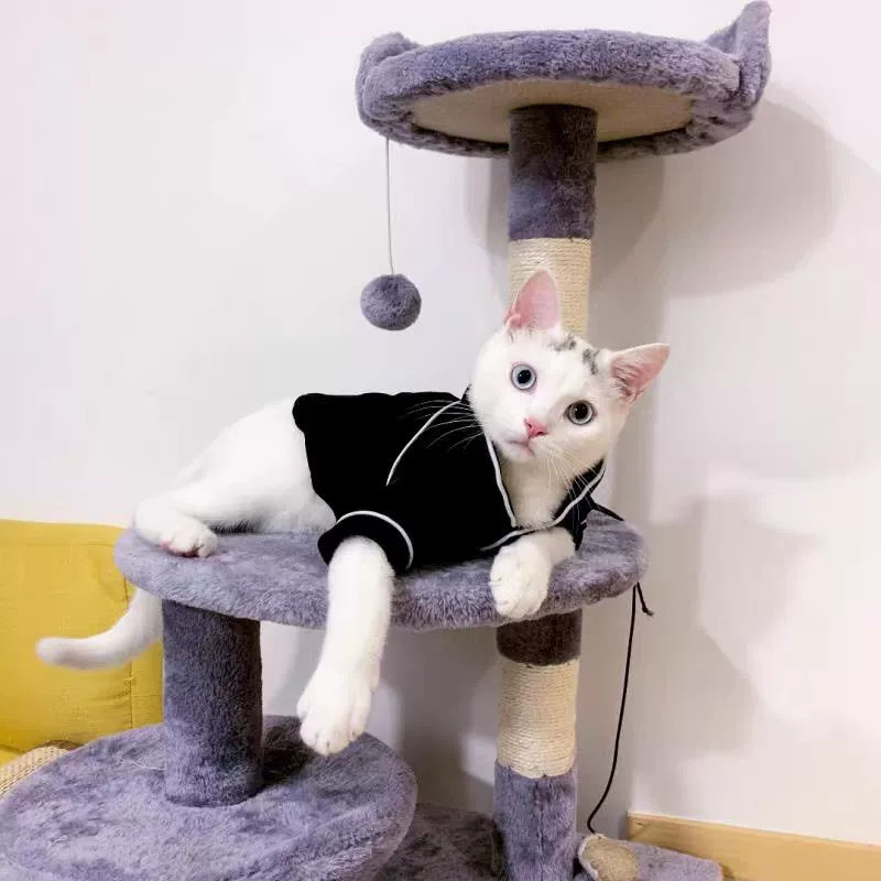 Одежда для кошек Летняя Пижама для домашних животных Летний горький медведь Собака Тедди Бом Рубашка Кукольный костюм для маленьких собак