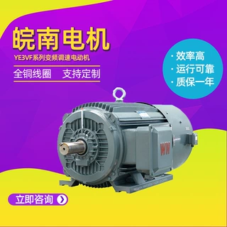 安徽皖南电机YE3VF系列全铜线圈变频调速电动机22kw30kw代理商