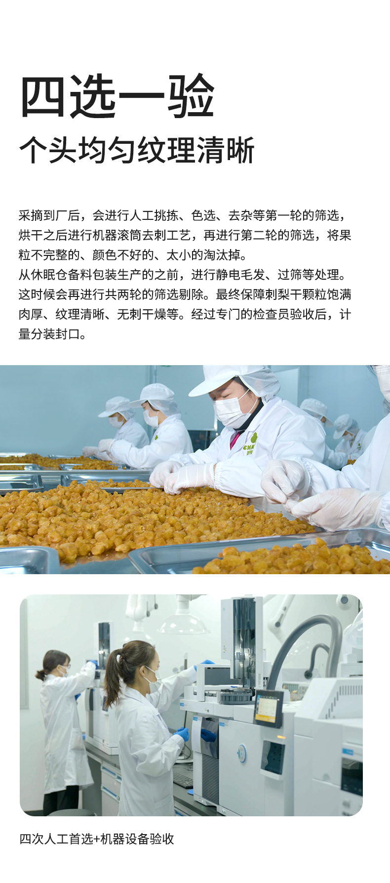 Cili Fruit Tea Rosa roxburghii Dried Ci Li Herbal Fruit Tea 350g Canister Guizhou Specialty specifications