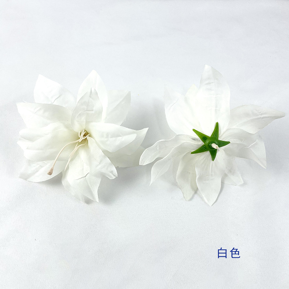 하얀색