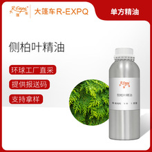 �Ȱ��~���� Thuya Leaf �W����ֱ�Ɇη�����ԭ�����l ����܇����