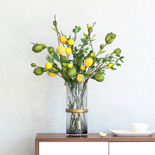 �_������ �����֦ ���ʹ�֦�҃Ȳ����[�ŷ��滨ˇ�͏d�b[��