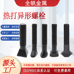 异型螺栓异形高强度锻打螺栓 中部成型件 非标螺丝 热打冷镦螺丝