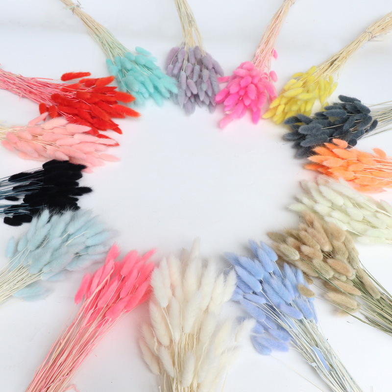 Cross-Border Pinduoduo Popular Rabbit Tail Grass Dried Flower Bouquet Real Flower Foxtail Grass Manufacturer Dried Flower Wholesale Preserved Flowers Cross-Border Pinduoduo Popular Rabbit Tail Grass Dried Flower Bouquet Real Flower Foxtail Grass Manufacturer Dried Flower Wholesale Preserved Flowers