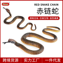 仿真野生动物模型玩具认知两栖爬行眼镜蛇响尾蛇赤链蛇大蟒蛇摆件