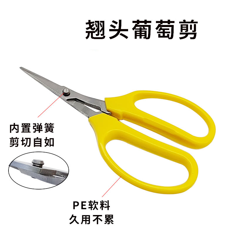 清货园林工具果树采摘葡萄摘果剪不锈钢稀果剪刀草坪剪翘头园艺剪