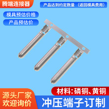 �S��ֱ�����~��a2.4���ͶӰ�x�B�����Դ2.5�~ᘶ���