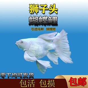 ̨���������~���F���Lβ�w�������w���κ������~��ˮ�~�^�p�~