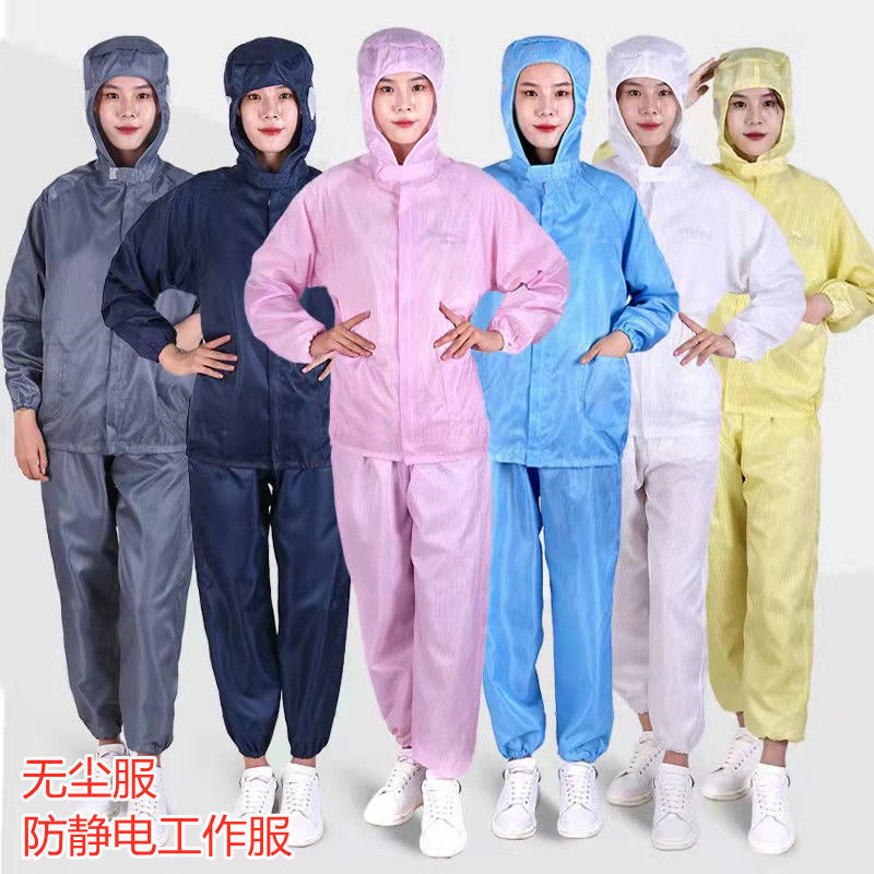 Clean clothes dustproof Anti-static coverall Fission Hooded Dust proof clothing Electronics Factory food Spray paint workshop Clean clothes