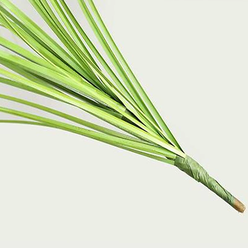 Realistic artificial plants, custom-made, style, home decor