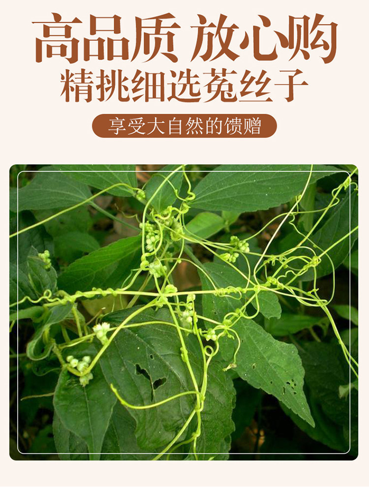 Dried Cuscuta Seeds Tu Si Zi 500g Chinese Dodder Seeds for Tea Wine and Decoction overview
