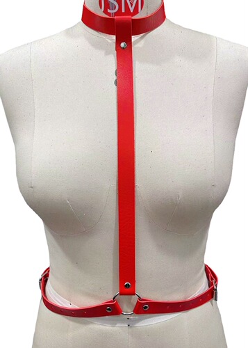 European and American Amazon's best-selling actress's same style simple and versatile leather collar necklace double-adjustable belt for women in one