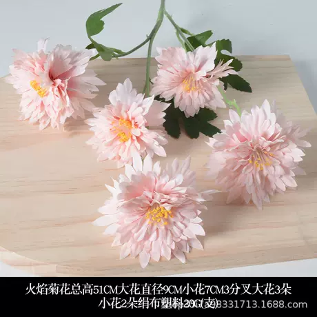Flame chrysanthemum pink