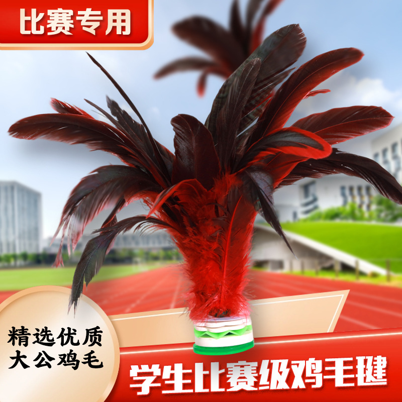 毽子儿童小学生运动专用成人大鸡毛耐踢腱子羽毛毽球比赛跃动键子