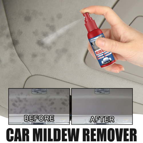 Rayhong Car Mold Remover, Interior Cleaning and Maintenance Mold Remover for Car Seats, Floor Mats, and Ceilings