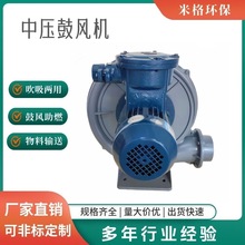 雕刻机吸尘抽气大风量风机 臭氧吸送防腐透浦中压风机7.5KW7500W