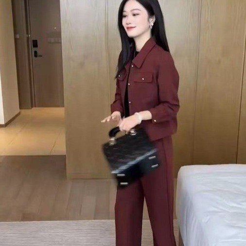 一件代发2025秋季新款时尚两件套洋气百搭纯色减龄气质套装女装|undefined