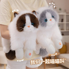 ���沼ż؈�Lëë����ϵ�ɐ�ë�q�l��ż��߹���Ů�������նY��