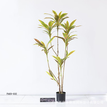 �����F�����ԾG�~�콶�t�F��Gֲ�[���p�����Z�q����ֲ����b�