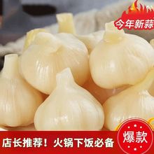 正宗腌制糖醋大蒜蒜头糖蒜批发新鲜泡菜甜蒜咸菜饭菜酸甜脆爽