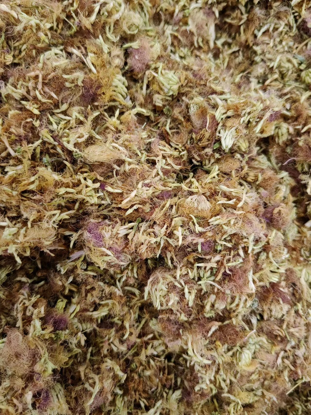 He Huan Hua (Albizia julibrissin) — Dried Silk Tree Flower for Calming Tea & Decoction key features