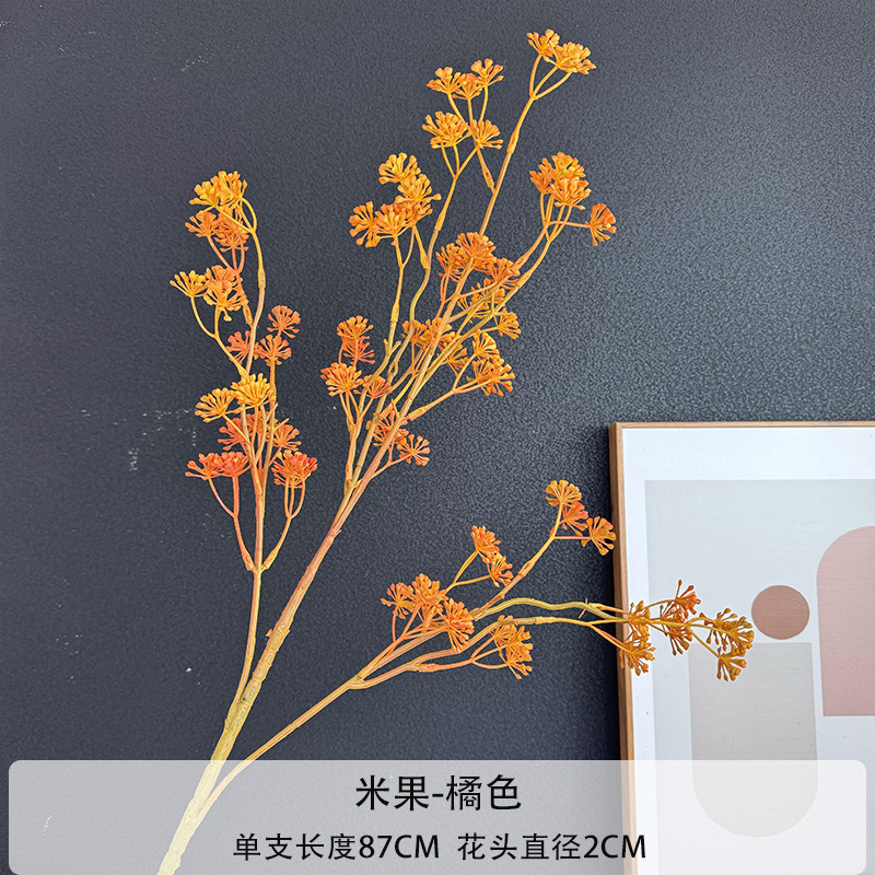 오렌지
