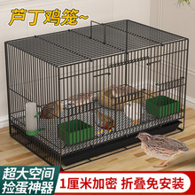 �J���u�����Bֳ�\�Ӽ��ü��ܴ�̖�J���u�F�z�\С�uС�����g���B�\