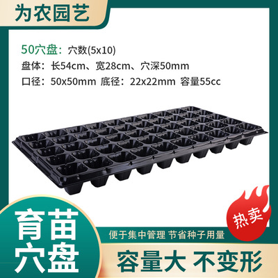 批發優質黑色塑料育苗盤 穴盤 育芽盤 平盤加厚 可重複育苗