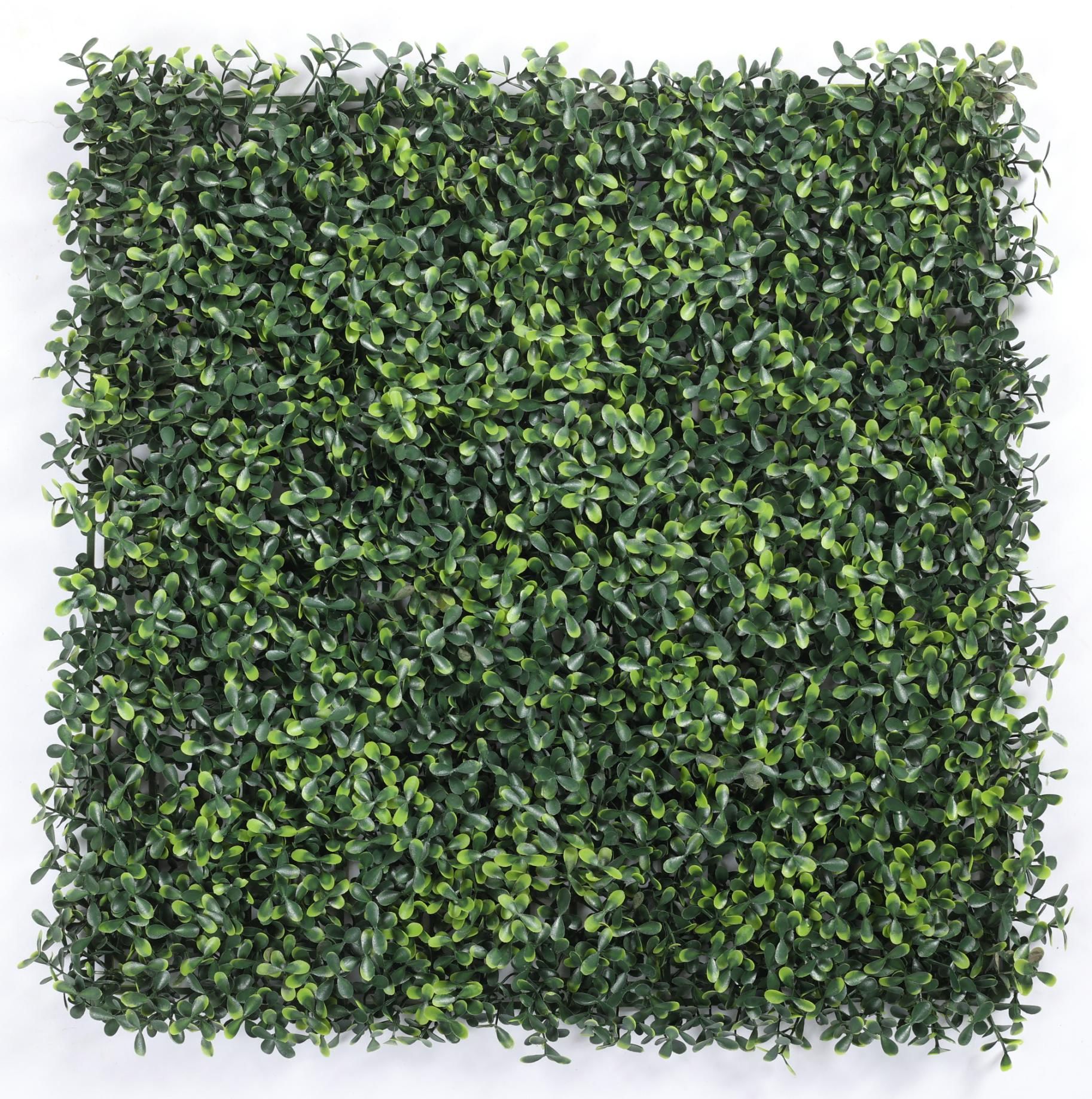 Deep peanut grass