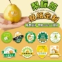 定做定制异形果园不干胶贴