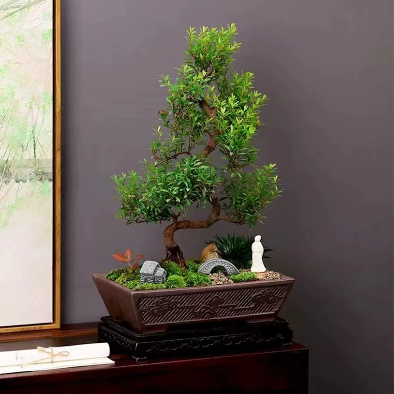 菩陶堂 Micro-landscape DIY potted landscaping ceramic Ge Kiln flower pot elm tree red sandalwood banyan tree large simple pot