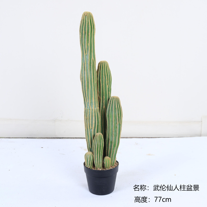 仿真龙神柱仙人掌寄生仙人球摩洛哥沙生植物造景软装样板工程装饰|undefined